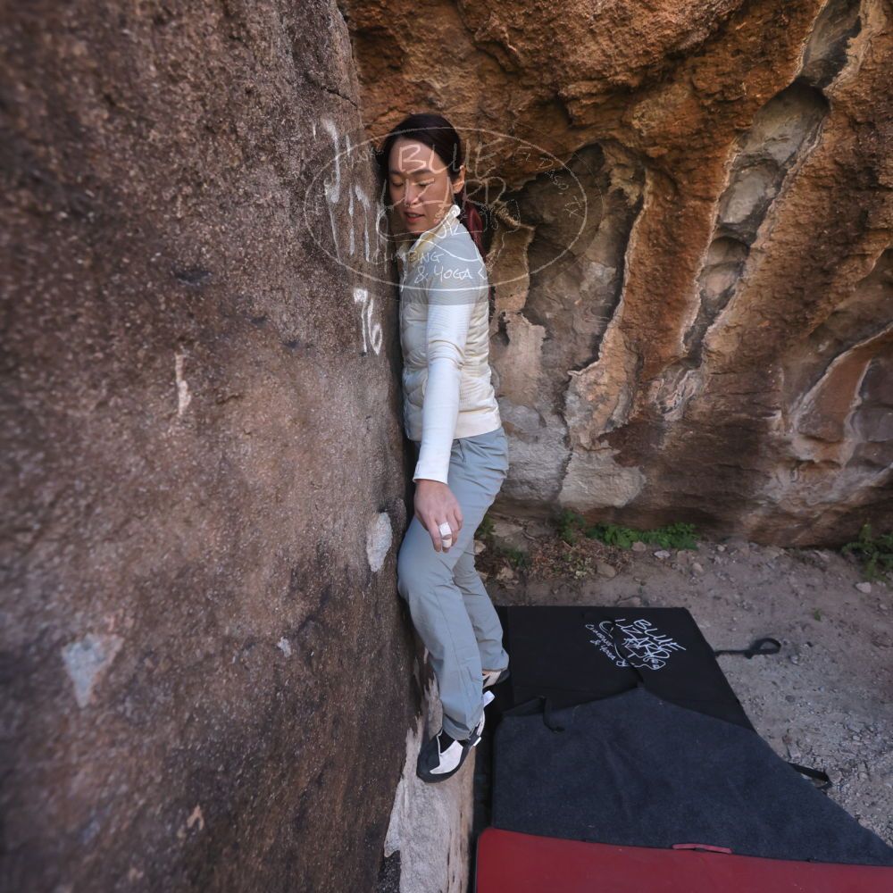 

Filename: SRM_20251109_1421580.jpg
Aperture: f/4.0
Shutter Speed: 1/1250
Body: Canon EOS R6
Lens: Canon EF 16-35mm f/2.8 L