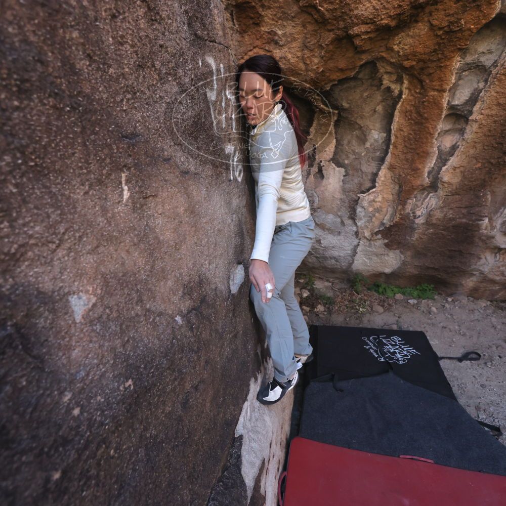 

Filename: SRM_20251109_1422210.jpg
Aperture: f/4.0
Shutter Speed: 1/1250
Body: Canon EOS R6
Lens: Canon EF 16-35mm f/2.8 L