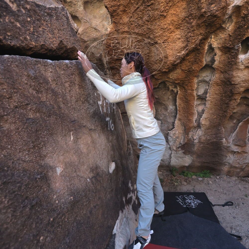 

Filename: SRM_20251109_1422431.jpg
Aperture: f/4.0
Shutter Speed: 1/1250
Body: Canon EOS R6
Lens: Canon EF 16-35mm f/2.8 L