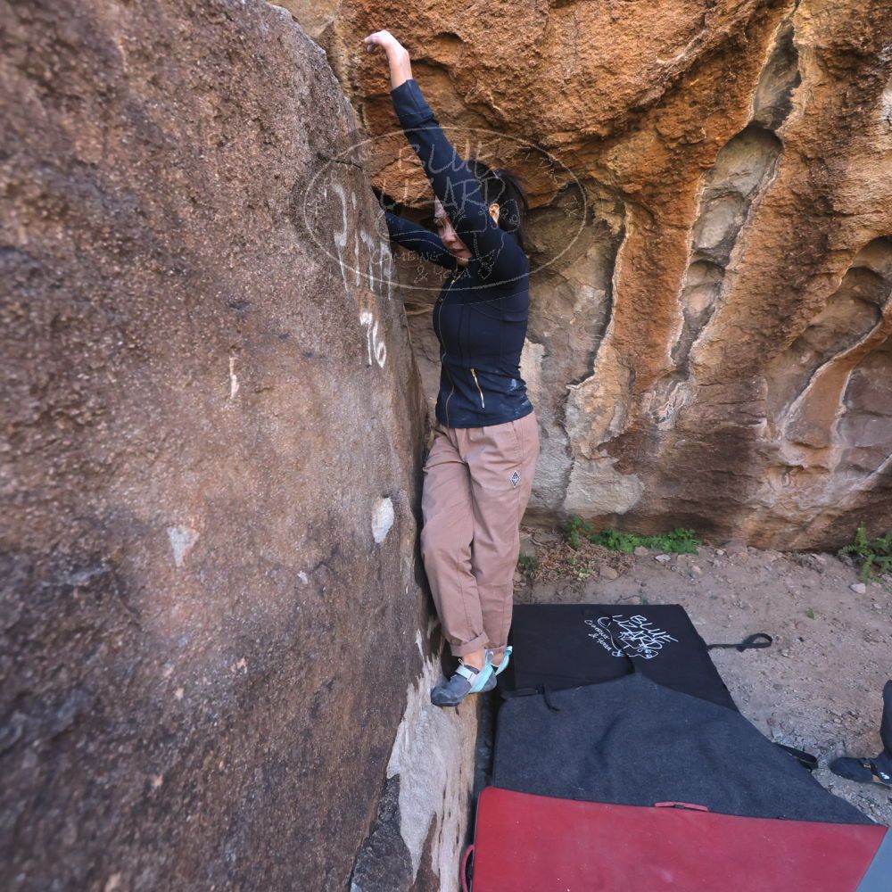 

Filename: SRM_20251109_1424170.jpg
Aperture: f/4.0
Shutter Speed: 1/1250
Body: Canon EOS R6
Lens: Canon EF 16-35mm f/2.8 L