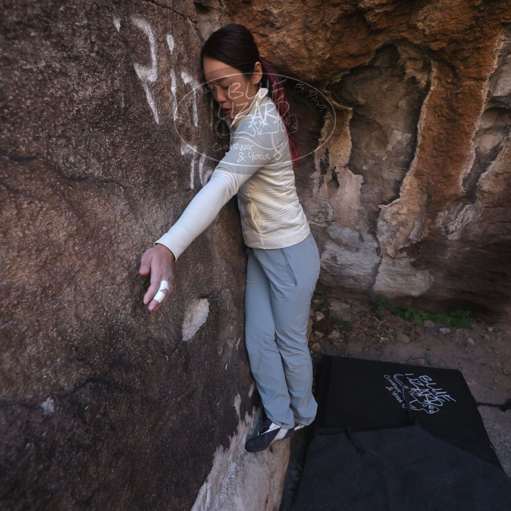 

Filename: SRM_20251109_1426080.jpg
Aperture: f/4.0
Shutter Speed: 1/1250
Body: Canon EOS R6
Lens: Canon EF 16-35mm f/2.8 L