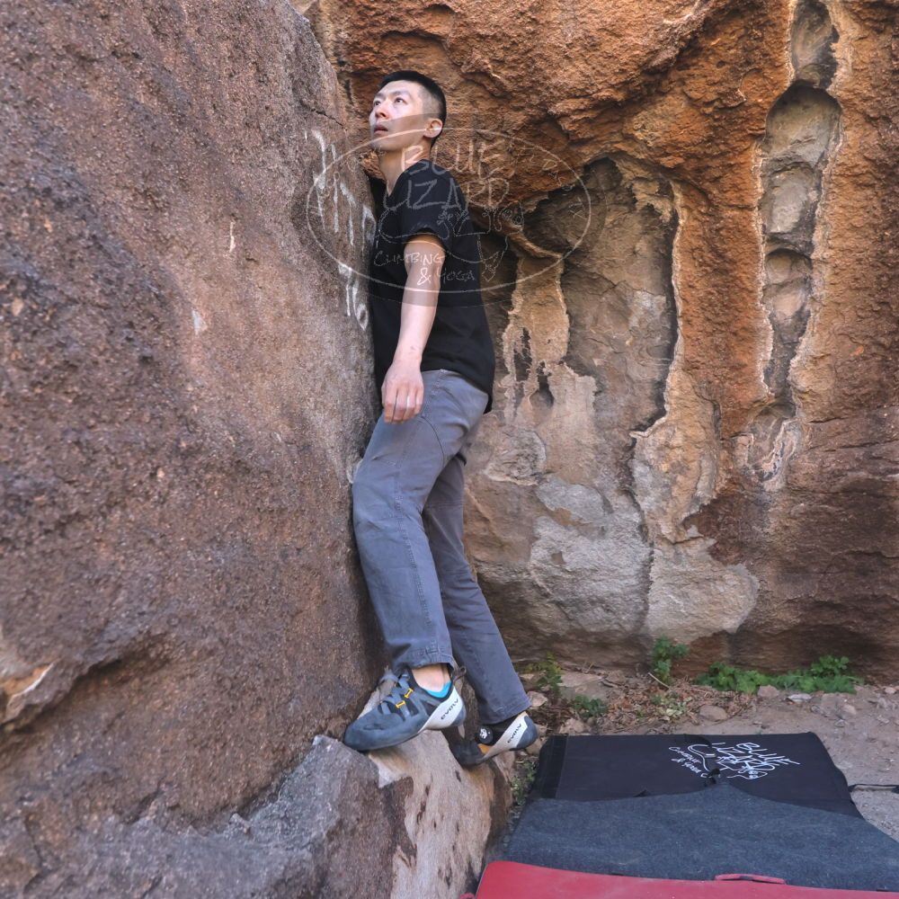 

Filename: SRM_20251109_1428570.jpg
Aperture: f/4.0
Shutter Speed: 1/1250
Body: Canon EOS R6
Lens: Canon EF 16-35mm f/2.8 L