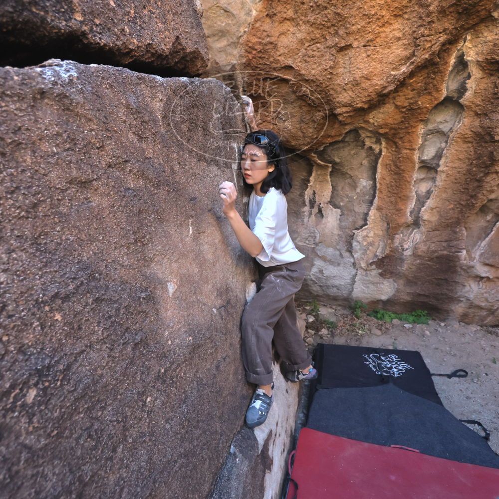 

Filename: SRM_20251109_1431240.jpg
Aperture: f/4.0
Shutter Speed: 1/1250
Body: Canon EOS R6
Lens: Canon EF 16-35mm f/2.8 L