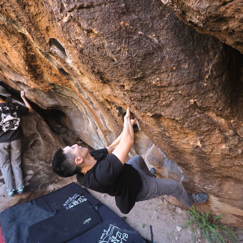 

Filename: SRM_20251109_1435110.jpg
Aperture: f/4.0
Shutter Speed: 1/1250
Body: Canon EOS R6
Lens: Canon EF 16-35mm f/2.8 L