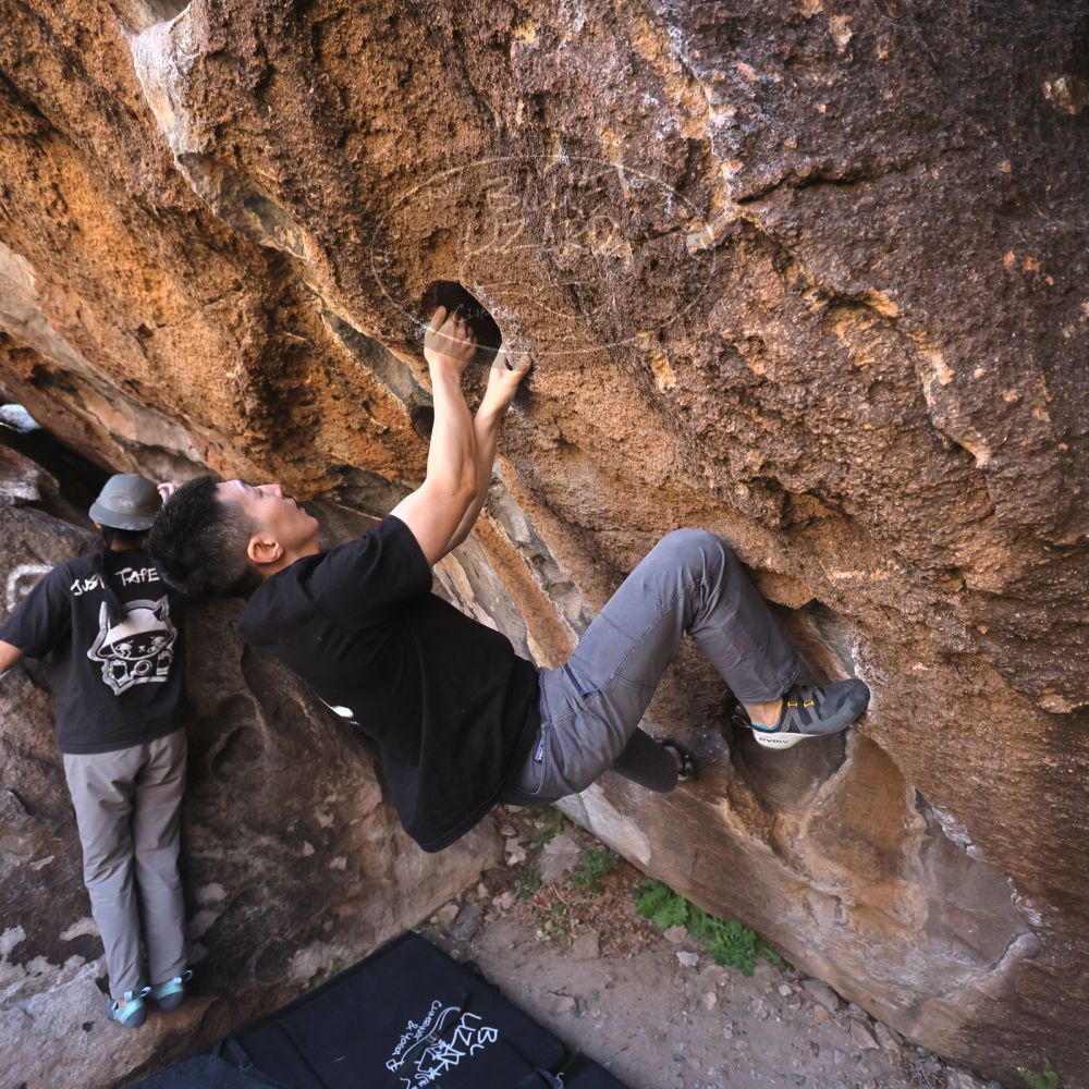 

Filename: SRM_20251109_1435150.jpg
Aperture: f/4.0
Shutter Speed: 1/1250
Body: Canon EOS R6
Lens: Canon EF 16-35mm f/2.8 L