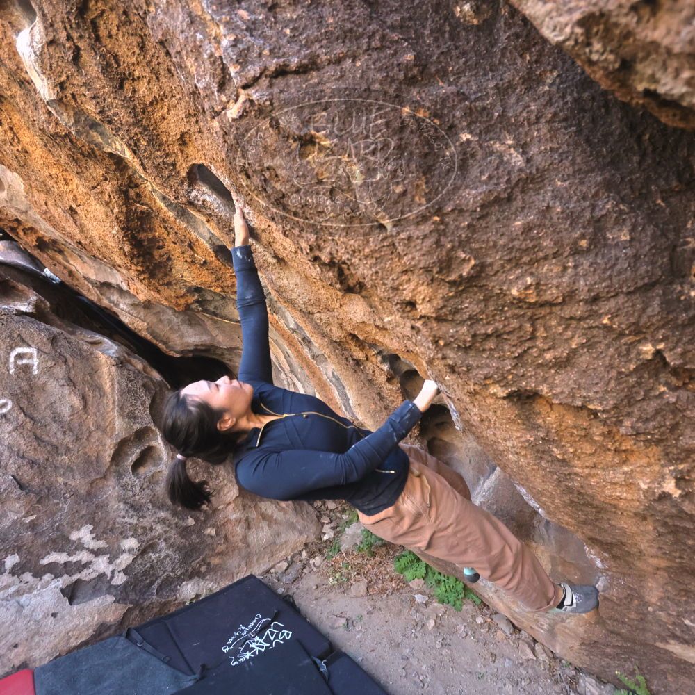 

Filename: SRM_20251109_1439310.jpg
Aperture: f/4.0
Shutter Speed: 1/1250
Body: Canon EOS R6
Lens: Canon EF 16-35mm f/2.8 L