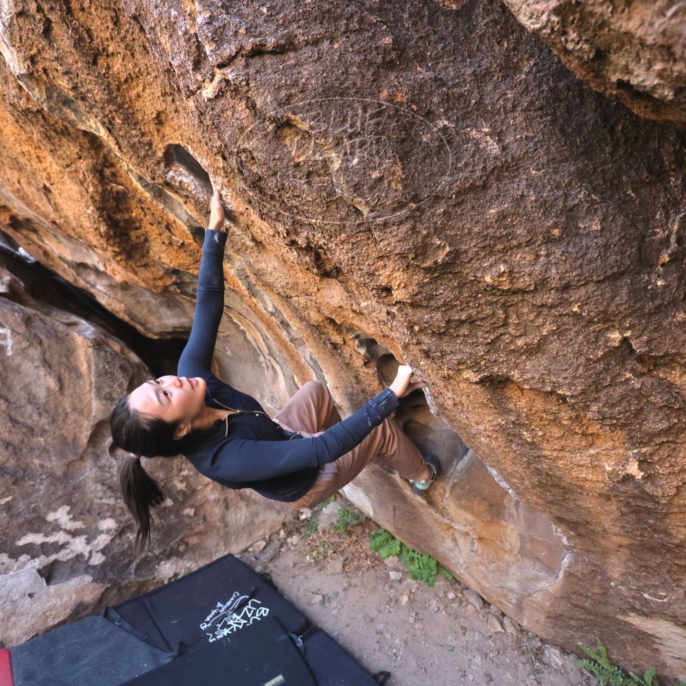 

Filename: SRM_20251109_1439340.jpg
Aperture: f/4.0
Shutter Speed: 1/1250
Body: Canon EOS R6
Lens: Canon EF 16-35mm f/2.8 L