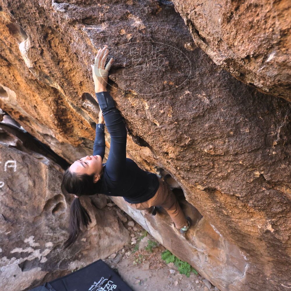 

Filename: SRM_20251109_1439360.jpg
Aperture: f/4.0
Shutter Speed: 1/1250
Body: Canon EOS R6
Lens: Canon EF 16-35mm f/2.8 L