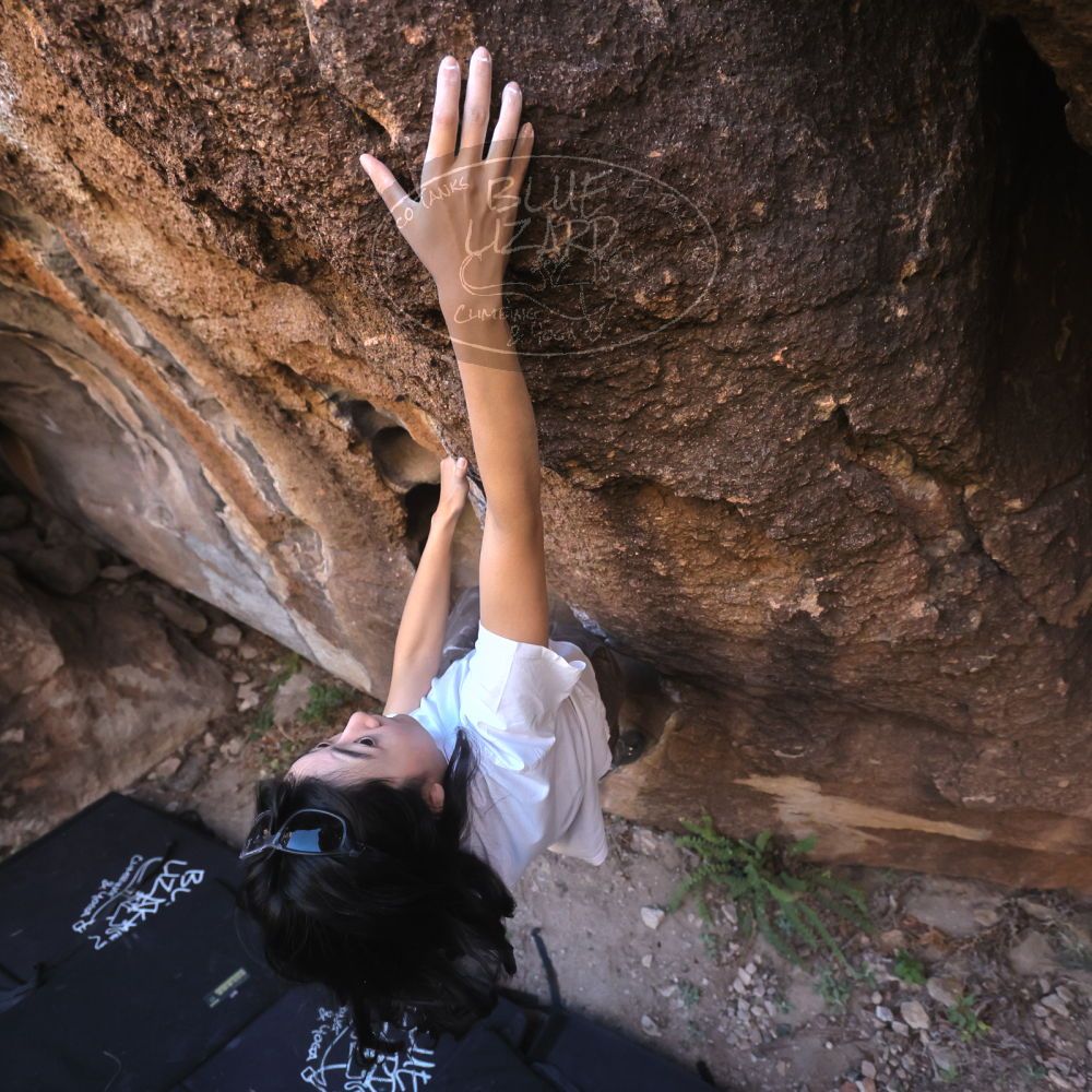 

Filename: SRM_20251109_1442041.jpg
Aperture: f/4.0
Shutter Speed: 1/1250
Body: Canon EOS R6
Lens: Canon EF 16-35mm f/2.8 L