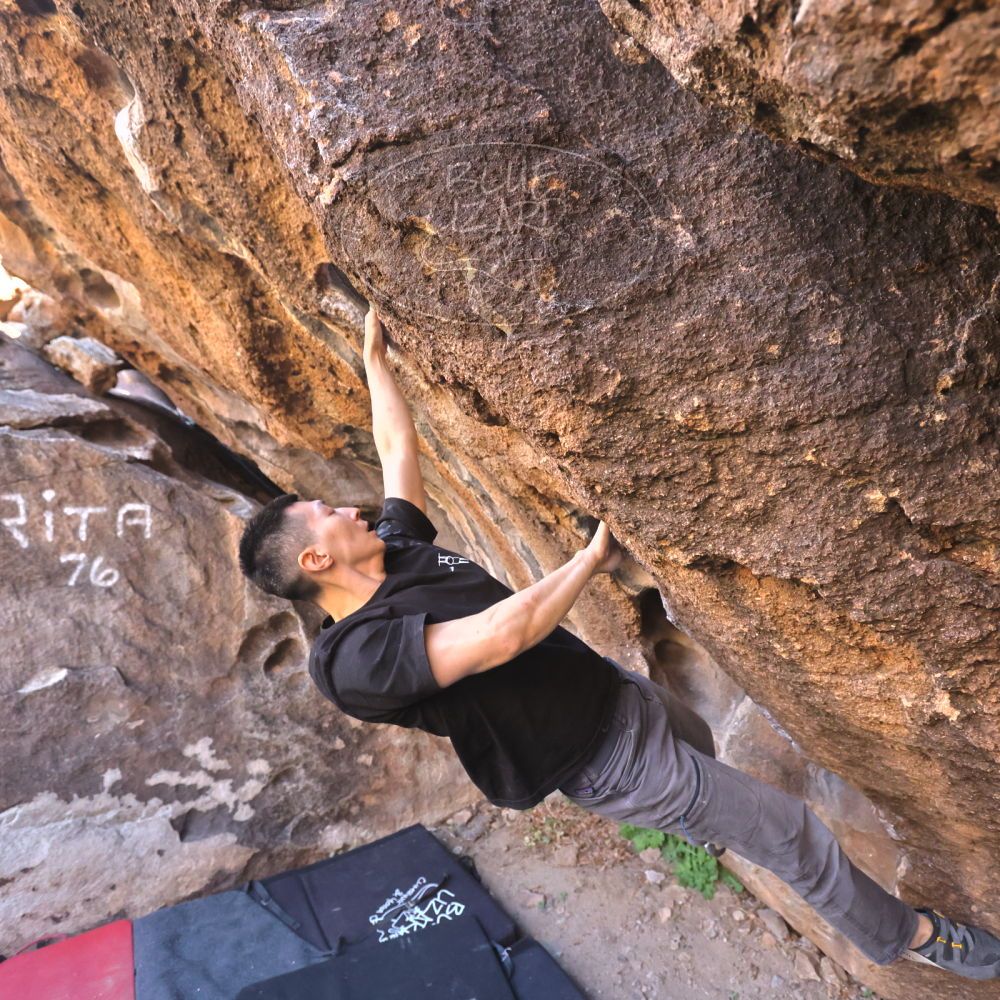 

Filename: SRM_20251109_1442550.jpg
Aperture: f/4.0
Shutter Speed: 1/1250
Body: Canon EOS R6
Lens: Canon EF 16-35mm f/2.8 L