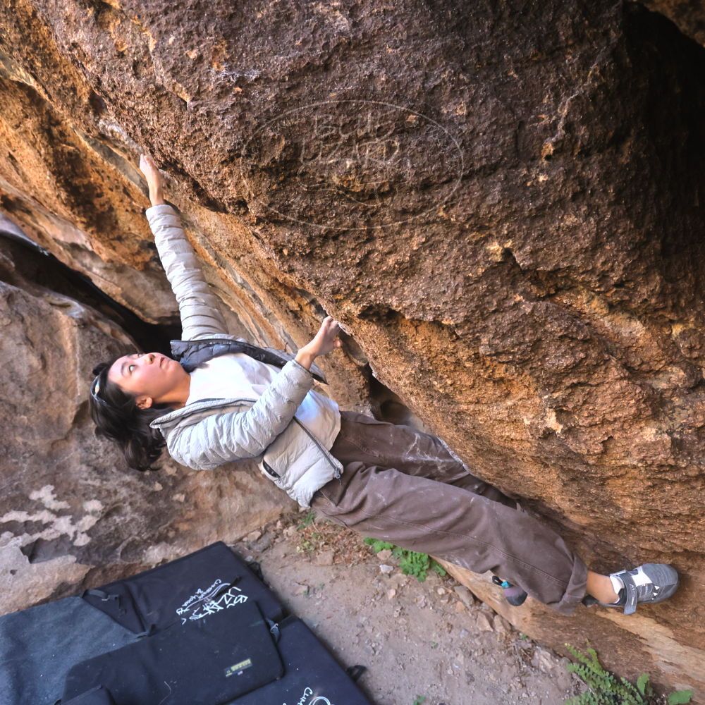 

Filename: SRM_20251109_1445450.jpg
Aperture: f/4.0
Shutter Speed: 1/1250
Body: Canon EOS R6
Lens: Canon EF 16-35mm f/2.8 L