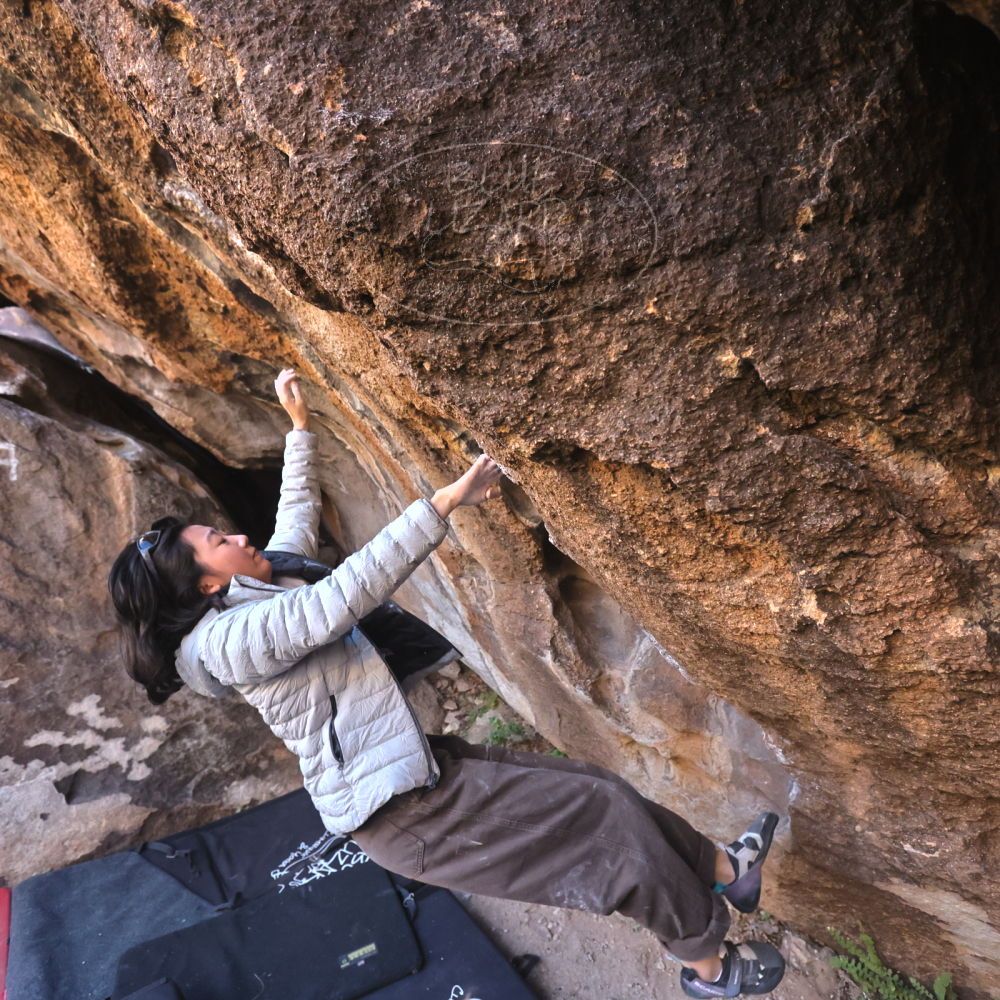 

Filename: SRM_20251109_1445461.jpg
Aperture: f/4.0
Shutter Speed: 1/1250
Body: Canon EOS R6
Lens: Canon EF 16-35mm f/2.8 L