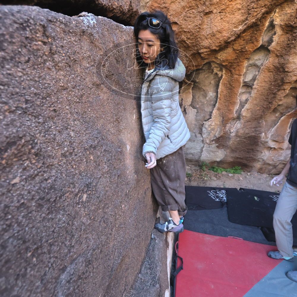 

Filename: SRM_20251109_1447350.jpg
Aperture: f/4.0
Shutter Speed: 1/1250
Body: Canon EOS R6
Lens: Canon EF 16-35mm f/2.8 L