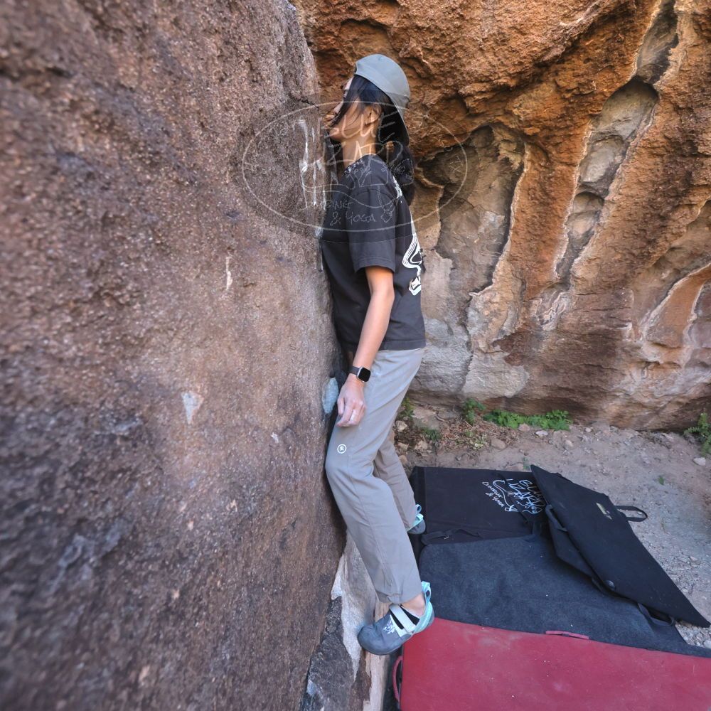 

Filename: SRM_20251109_1449050.jpg
Aperture: f/4.0
Shutter Speed: 1/1250
Body: Canon EOS R6
Lens: Canon EF 16-35mm f/2.8 L