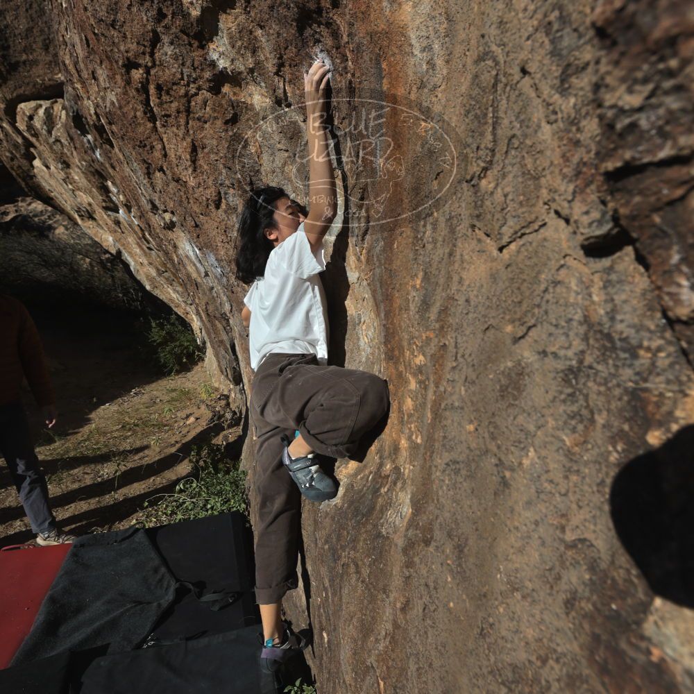 

Filename: SRM_20251109_1522380.jpg
Aperture: f/5.6
Shutter Speed: 1/2000
Body: Canon EOS R6
Lens: Canon EF 16-35mm f/2.8 L