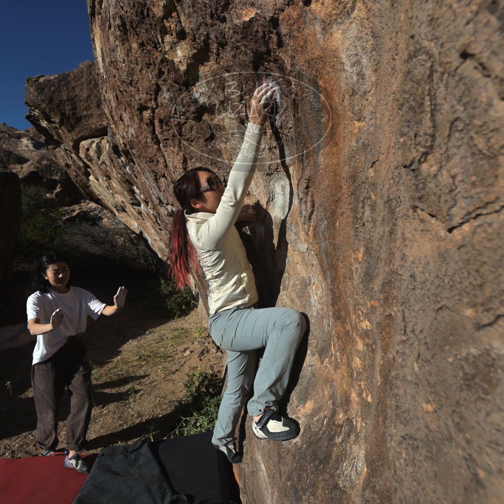 

Filename: SRM_20251109_1524170.jpg
Aperture: f/5.6
Shutter Speed: 1/2000
Body: Canon EOS R6
Lens: Canon EF 16-35mm f/2.8 L