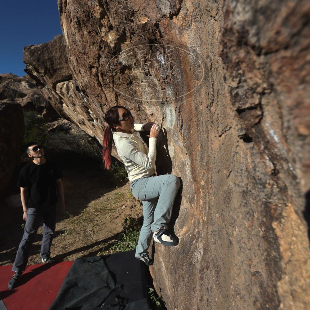 

Filename: SRM_20251109_1527470.jpg
Aperture: f/5.6
Shutter Speed: 1/2000
Body: Canon EOS R6
Lens: Canon EF 16-35mm f/2.8 L