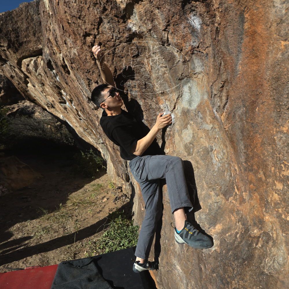 

Filename: SRM_20251109_1533230.jpg
Aperture: f/5.6
Shutter Speed: 1/2000
Body: Canon EOS R6
Lens: Canon EF 16-35mm f/2.8 L