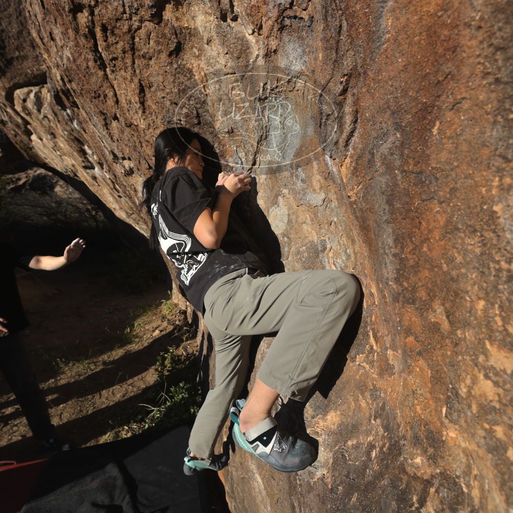 

Filename: SRM_20251109_1554260.jpg
Aperture: f/5.6
Shutter Speed: 1/2000
Body: Canon EOS R6
Lens: Canon EF 16-35mm f/2.8 L