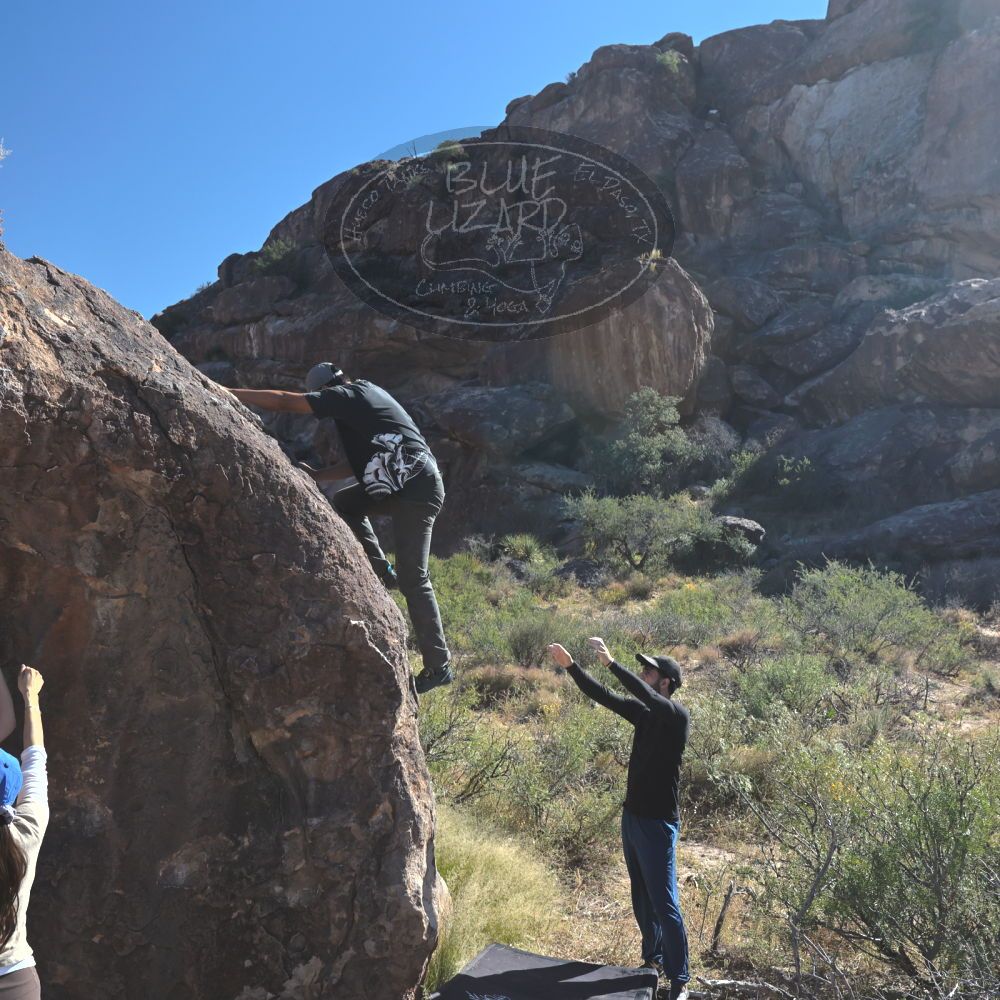 

Filename: SRM_20251110_1041550.jpg
Aperture: f/5.6
Shutter Speed: 1/2000
Body: Canon EOS R6
Lens: Canon EF 16-35mm f/2.8 L