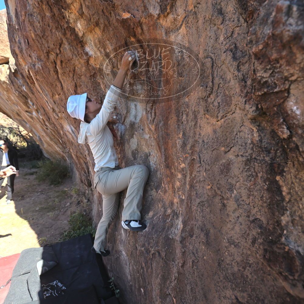 

Filename: SRM_20251110_1048260.jpg
Aperture: f/5.6
Shutter Speed: 1/1000
Body: Canon EOS R6
Lens: Canon EF 16-35mm f/2.8 L