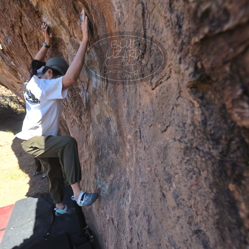 

Filename: SRM_20251110_1053330.jpg
Aperture: f/5.6
Shutter Speed: 1/1000
Body: Canon EOS R6
Lens: Canon EF 16-35mm f/2.8 L