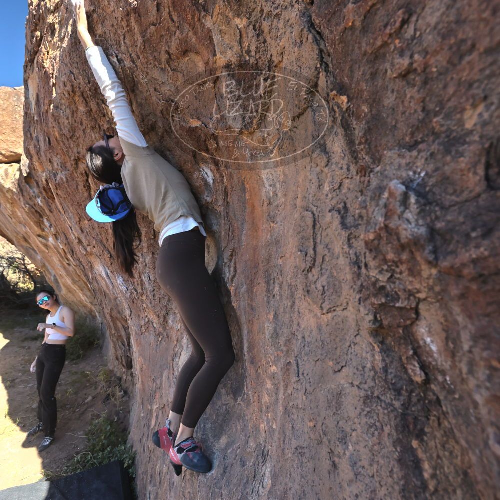 

Filename: SRM_20251110_1055200.jpg
Aperture: f/5.6
Shutter Speed: 1/1000
Body: Canon EOS R6
Lens: Canon EF 16-35mm f/2.8 L