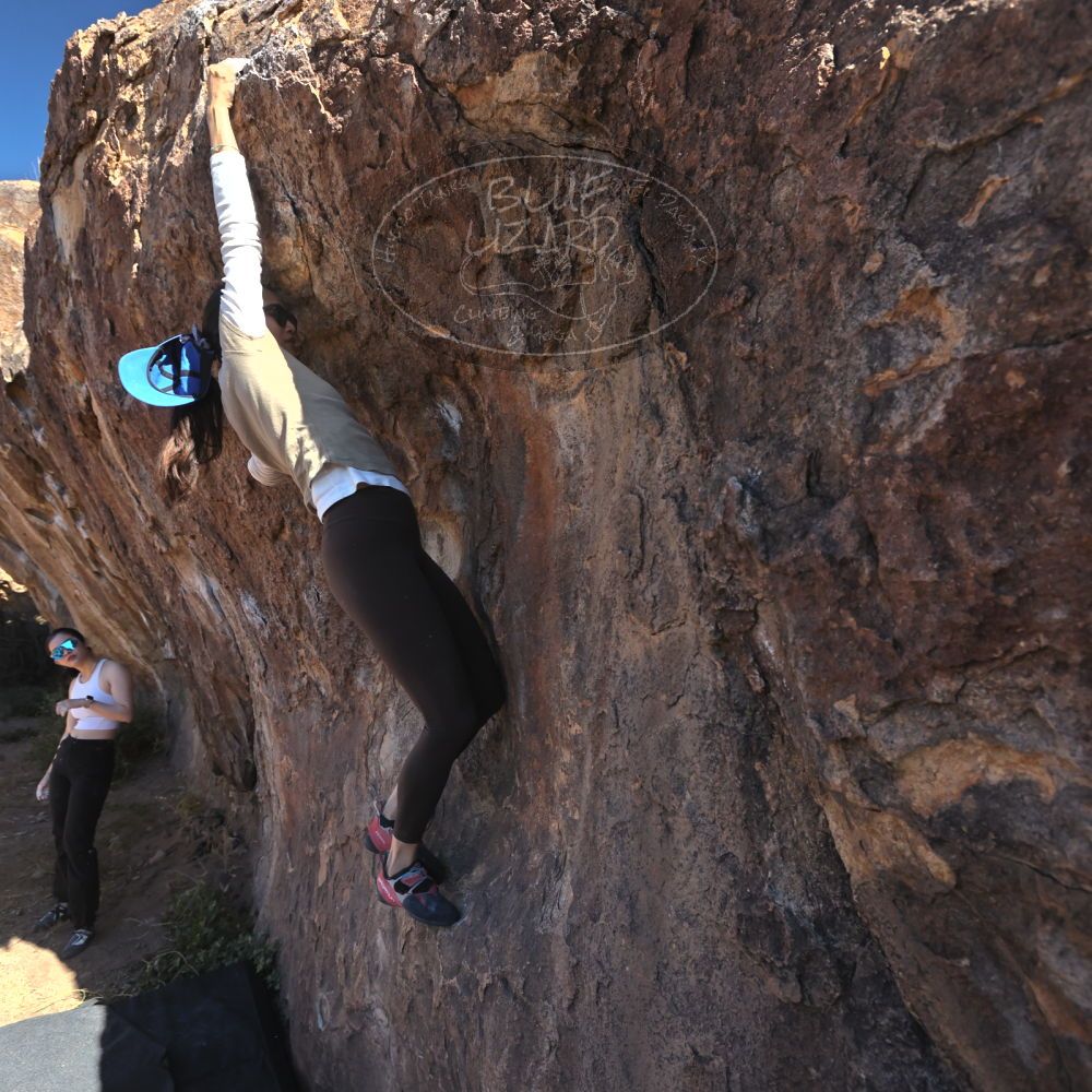 

Filename: SRM_20251110_1055250.jpg
Aperture: f/5.6
Shutter Speed: 1/1000
Body: Canon EOS R6
Lens: Canon EF 16-35mm f/2.8 L