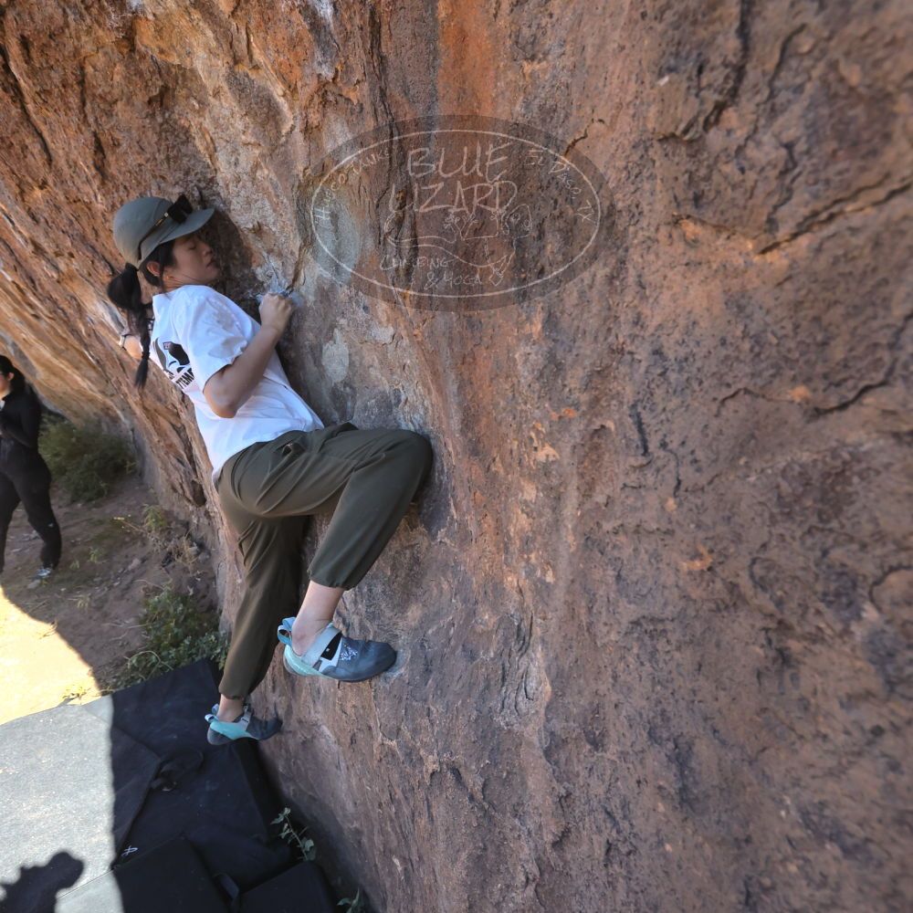 

Filename: SRM_20251110_1101280.jpg
Aperture: f/5.6
Shutter Speed: 1/1000
Body: Canon EOS R6
Lens: Canon EF 16-35mm f/2.8 L