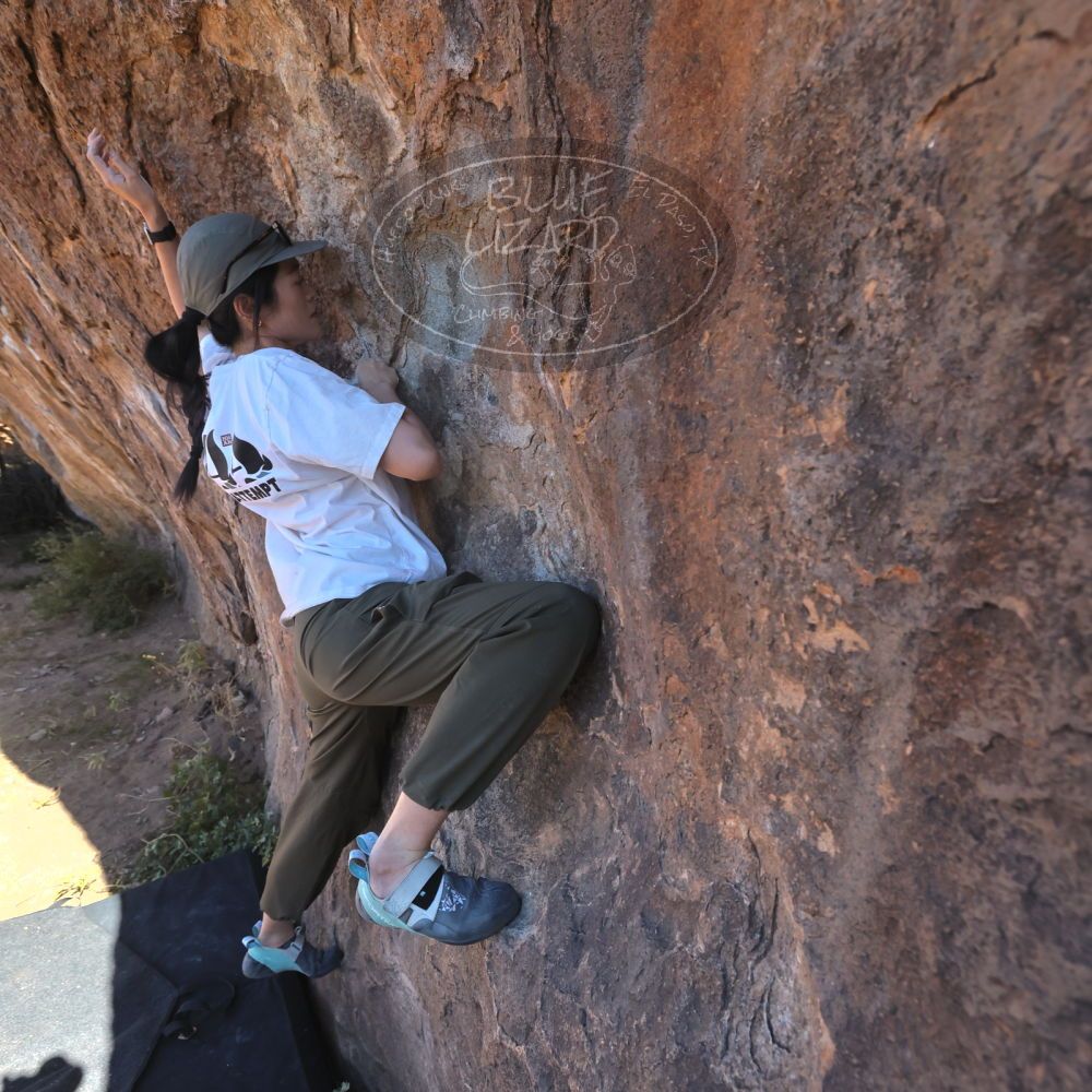 

Filename: SRM_20251110_1101330.jpg
Aperture: f/5.6
Shutter Speed: 1/1000
Body: Canon EOS R6
Lens: Canon EF 16-35mm f/2.8 L