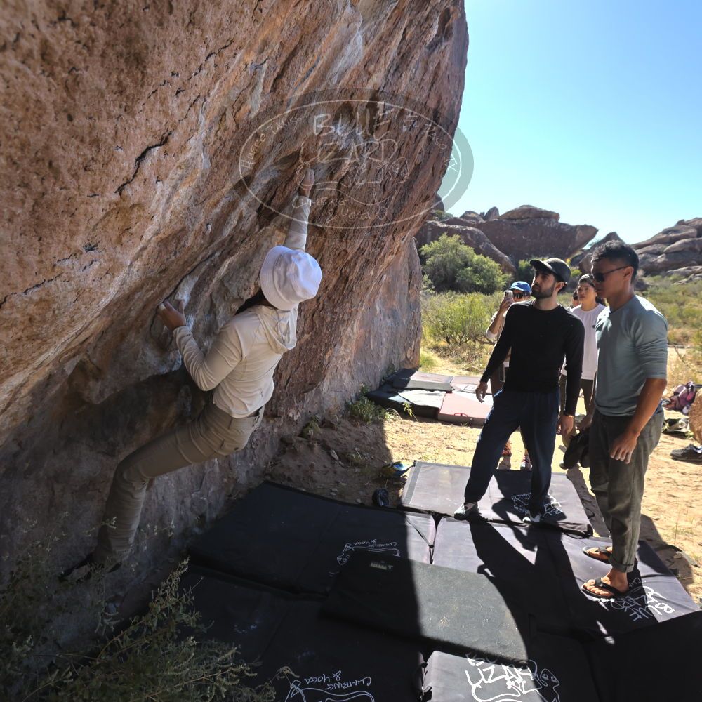 

Filename: SRM_20251110_1111170.jpg
Aperture: f/5.6
Shutter Speed: 1/1000
Body: Canon EOS R6
Lens: Canon EF 16-35mm f/2.8 L