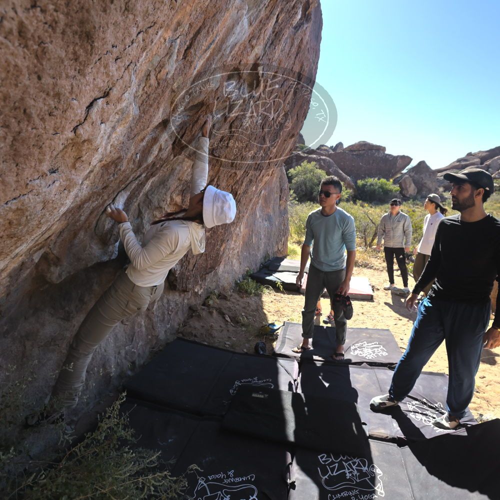 

Filename: SRM_20251110_1111470.jpg
Aperture: f/5.6
Shutter Speed: 1/1000
Body: Canon EOS R6
Lens: Canon EF 16-35mm f/2.8 L