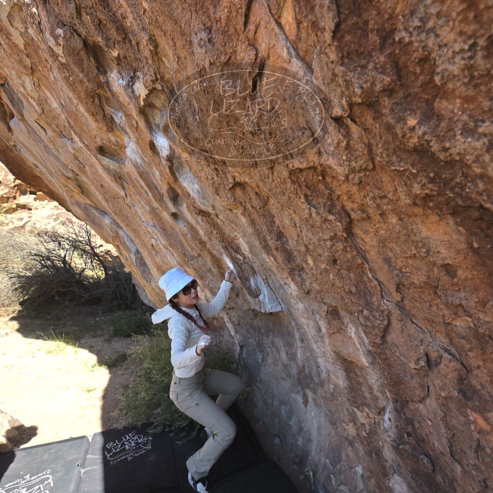 

Filename: SRM_20251110_1117580.jpg
Aperture: f/5.6
Shutter Speed: 1/1000
Body: Canon EOS R6
Lens: Canon EF 16-35mm f/2.8 L