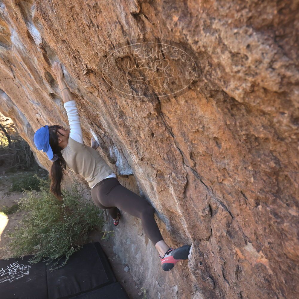 

Filename: SRM_20251110_1119490.jpg
Aperture: f/5.6
Shutter Speed: 1/1000
Body: Canon EOS R6
Lens: Canon EF 16-35mm f/2.8 L