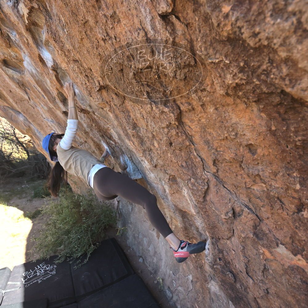 

Filename: SRM_20251110_1119530.jpg
Aperture: f/5.6
Shutter Speed: 1/1000
Body: Canon EOS R6
Lens: Canon EF 16-35mm f/2.8 L