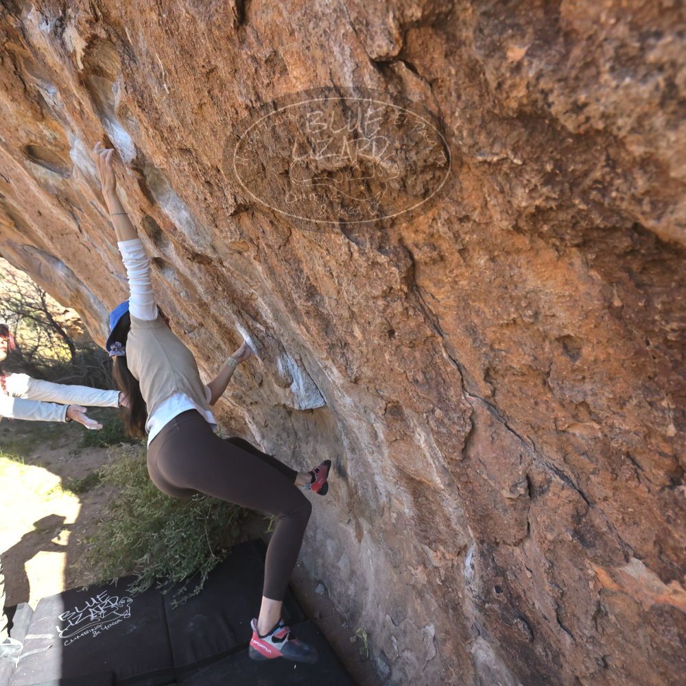 

Filename: SRM_20251110_1119550.jpg
Aperture: f/5.6
Shutter Speed: 1/1000
Body: Canon EOS R6
Lens: Canon EF 16-35mm f/2.8 L