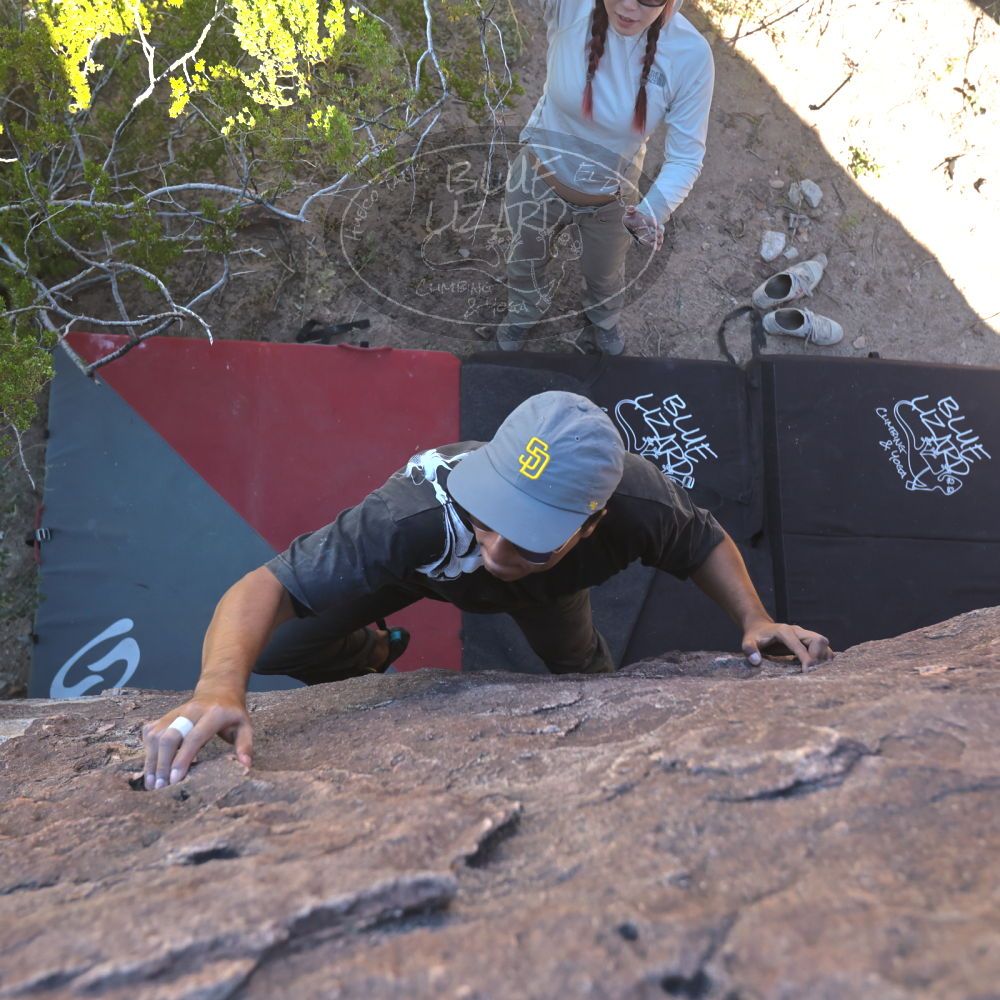 

Filename: SRM_20251110_1137060.jpg
Aperture: f/4.0
Shutter Speed: 1/500
Body: Canon EOS R6
Lens: Canon EF 16-35mm f/2.8 L