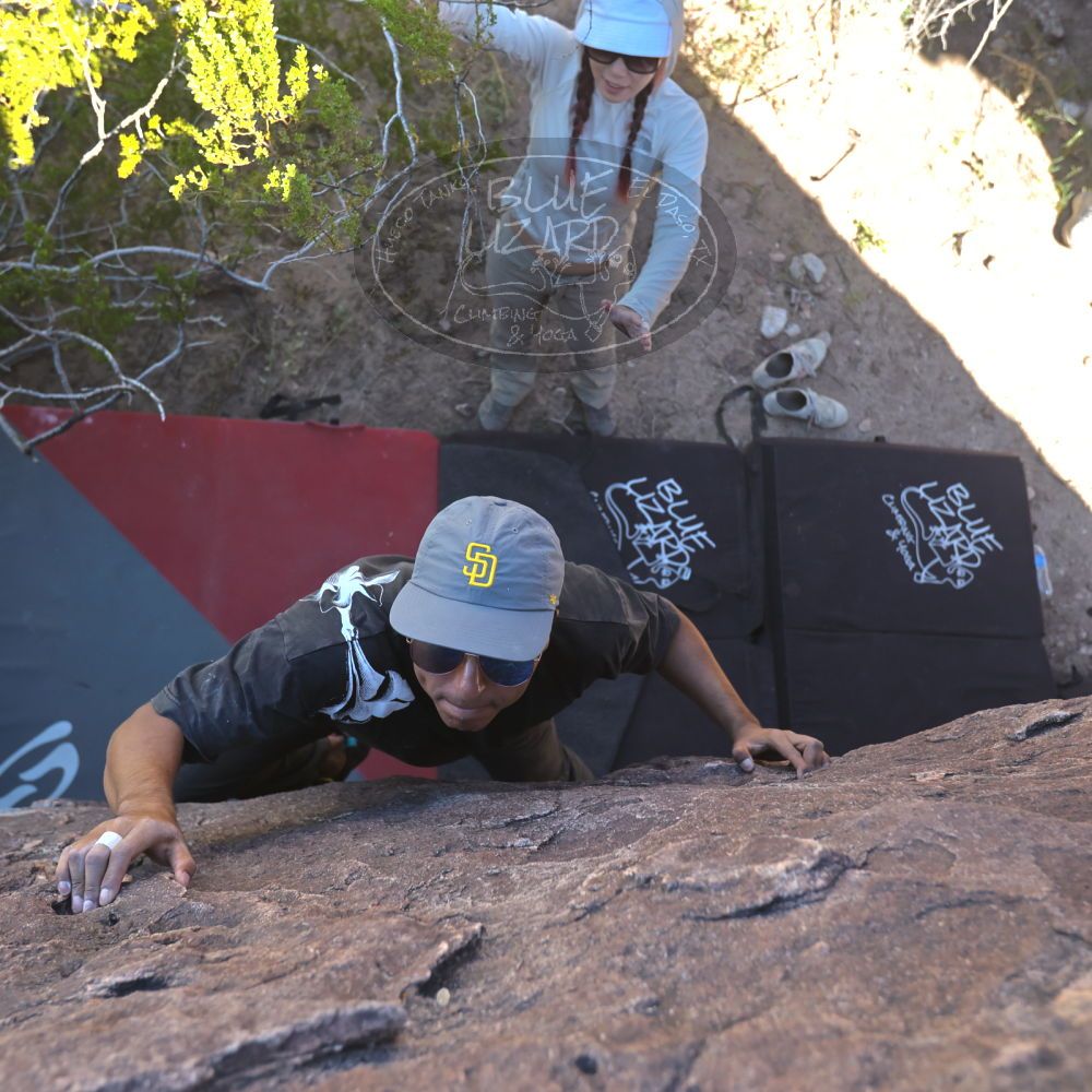 

Filename: SRM_20251110_1137070.jpg
Aperture: f/4.0
Shutter Speed: 1/500
Body: Canon EOS R6
Lens: Canon EF 16-35mm f/2.8 L