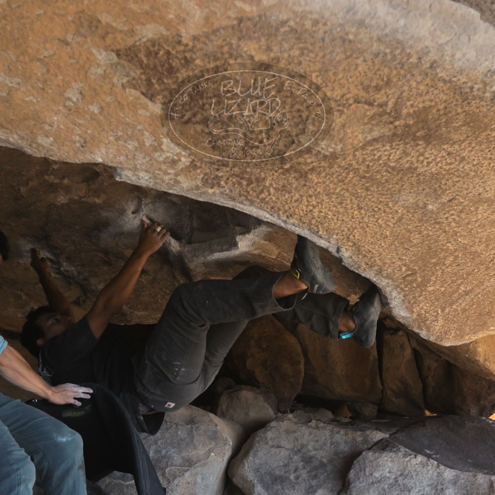 

Filename: SRM_20251110_1304230.jpg
Aperture: f/5.6
Shutter Speed: 1/500
Body: Canon EOS R6
Lens: Canon EF 16-35mm f/2.8 L