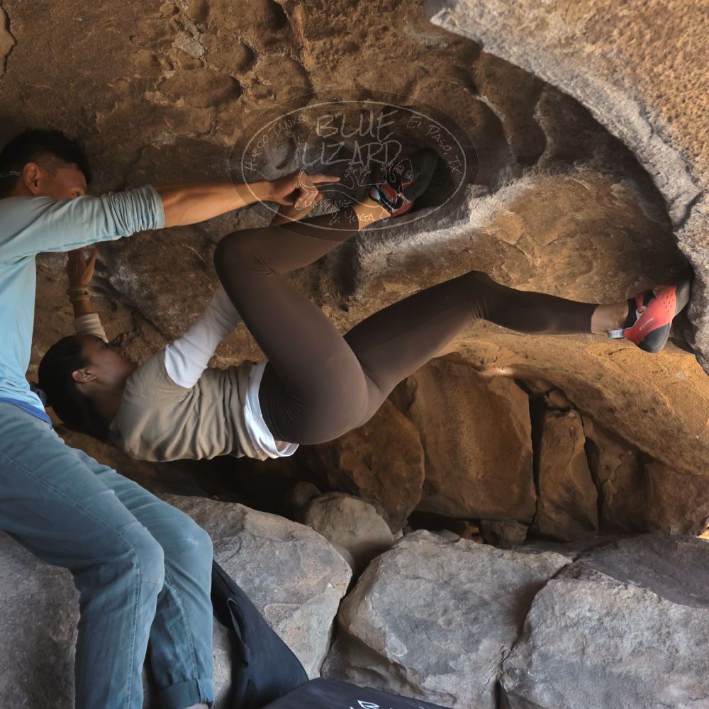 

Filename: SRM_20251110_1322400.jpg
Aperture: f/5.6
Shutter Speed: 1/500
Body: Canon EOS R6
Lens: Canon EF 16-35mm f/2.8 L