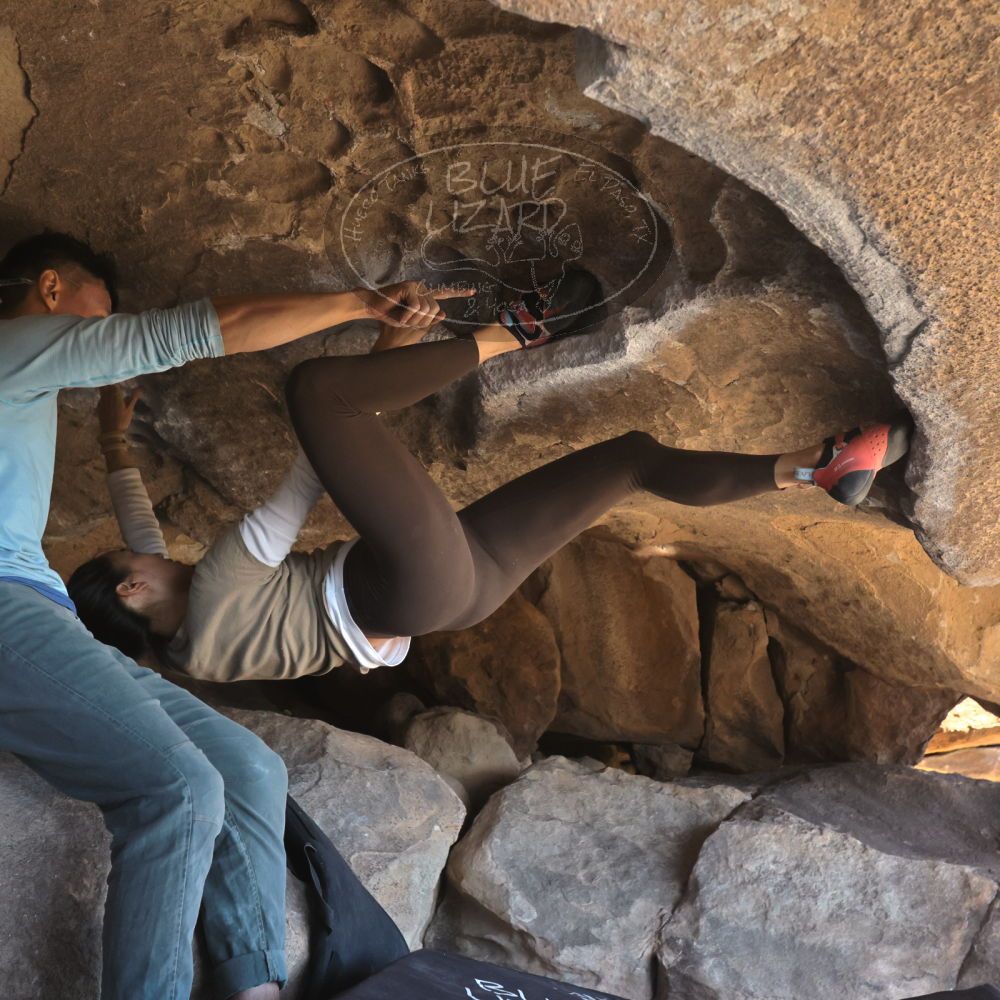 

Filename: SRM_20251110_1322420.jpg
Aperture: f/5.6
Shutter Speed: 1/500
Body: Canon EOS R6
Lens: Canon EF 16-35mm f/2.8 L