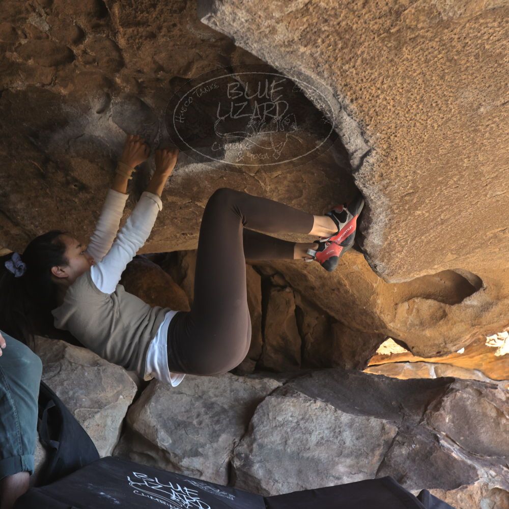 

Filename: SRM_20251110_1322490.jpg
Aperture: f/5.6
Shutter Speed: 1/500
Body: Canon EOS R6
Lens: Canon EF 16-35mm f/2.8 L