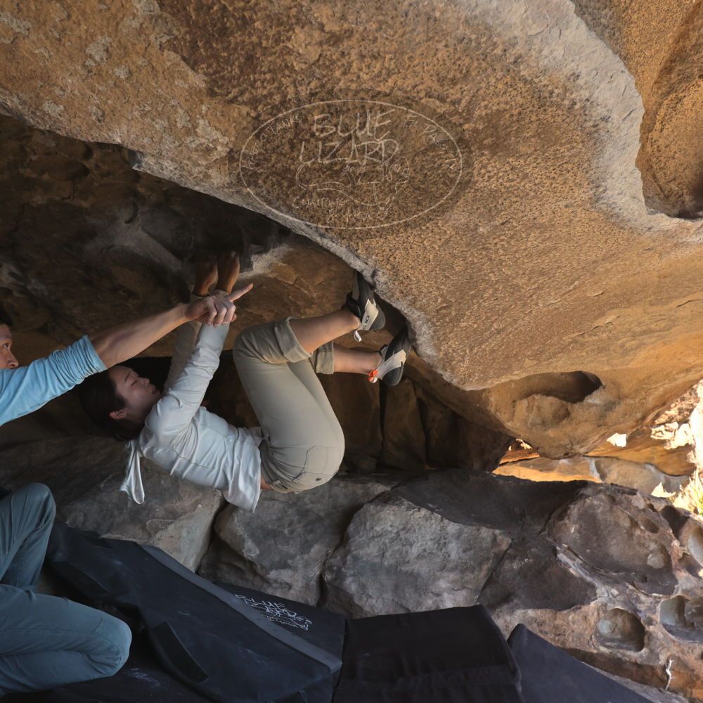 

Filename: SRM_20251110_1324040.jpg
Aperture: f/5.6
Shutter Speed: 1/500
Body: Canon EOS R6
Lens: Canon EF 16-35mm f/2.8 L