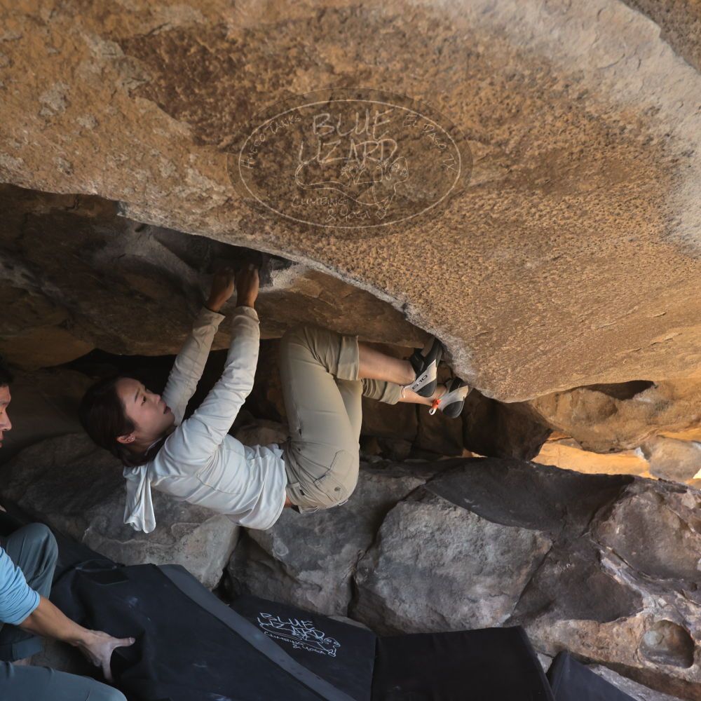 

Filename: SRM_20251110_1324060.jpg
Aperture: f/5.6
Shutter Speed: 1/500
Body: Canon EOS R6
Lens: Canon EF 16-35mm f/2.8 L