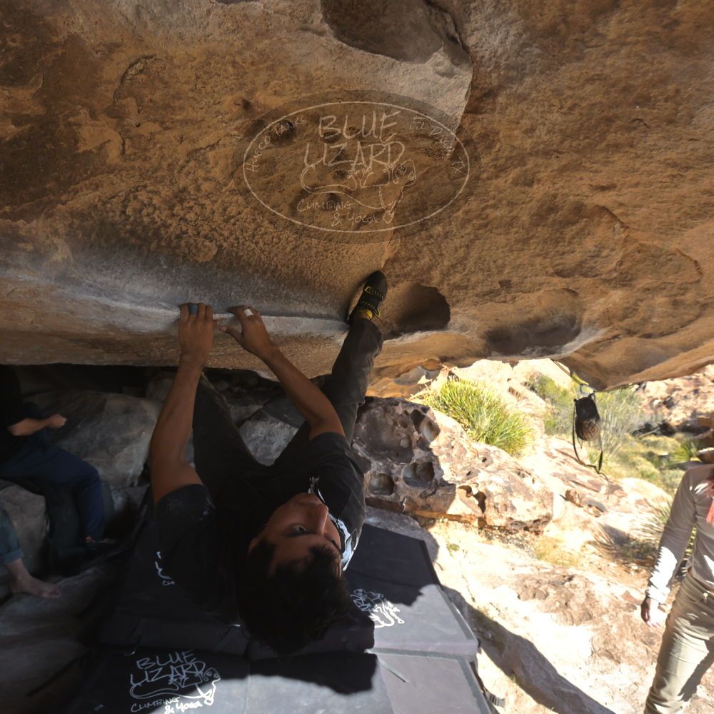 

Filename: SRM_20251110_1330010.jpg
Aperture: f/5.6
Shutter Speed: 1/500
Body: Canon EOS R6
Lens: Canon EF 16-35mm f/2.8 L