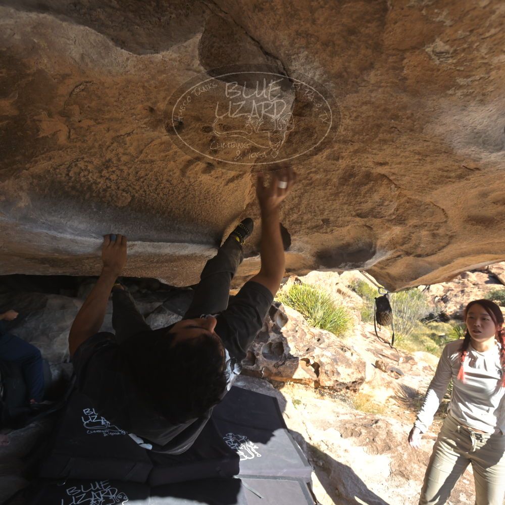 

Filename: SRM_20251110_1330011.jpg
Aperture: f/5.6
Shutter Speed: 1/500
Body: Canon EOS R6
Lens: Canon EF 16-35mm f/2.8 L