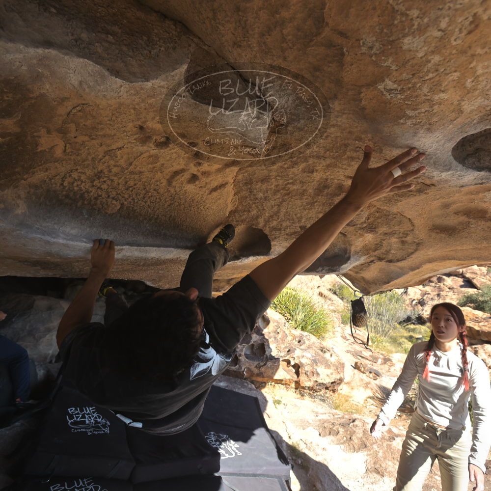 

Filename: SRM_20251110_1330012.jpg
Aperture: f/5.6
Shutter Speed: 1/500
Body: Canon EOS R6
Lens: Canon EF 16-35mm f/2.8 L