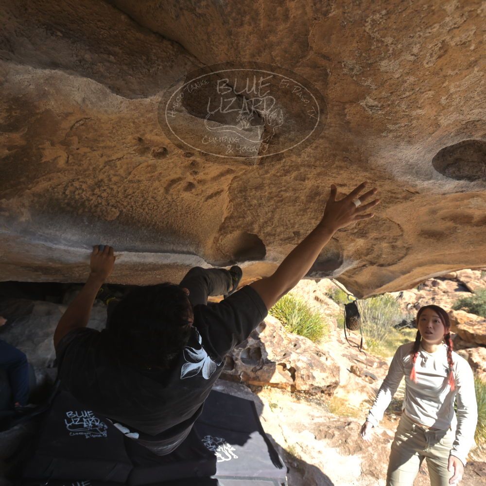 

Filename: SRM_20251110_1330013.jpg
Aperture: f/5.6
Shutter Speed: 1/500
Body: Canon EOS R6
Lens: Canon EF 16-35mm f/2.8 L