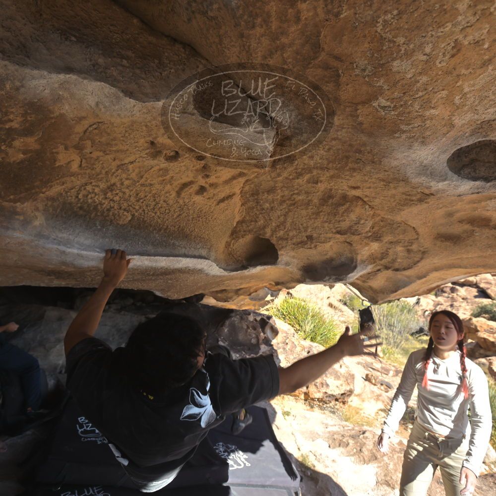 

Filename: SRM_20251110_1330014.jpg
Aperture: f/5.6
Shutter Speed: 1/500
Body: Canon EOS R6
Lens: Canon EF 16-35mm f/2.8 L