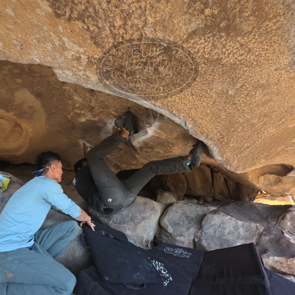 

Filename: SRM_20251110_1341260.jpg
Aperture: f/5.6
Shutter Speed: 1/500
Body: Canon EOS R6
Lens: Canon EF 16-35mm f/2.8 L